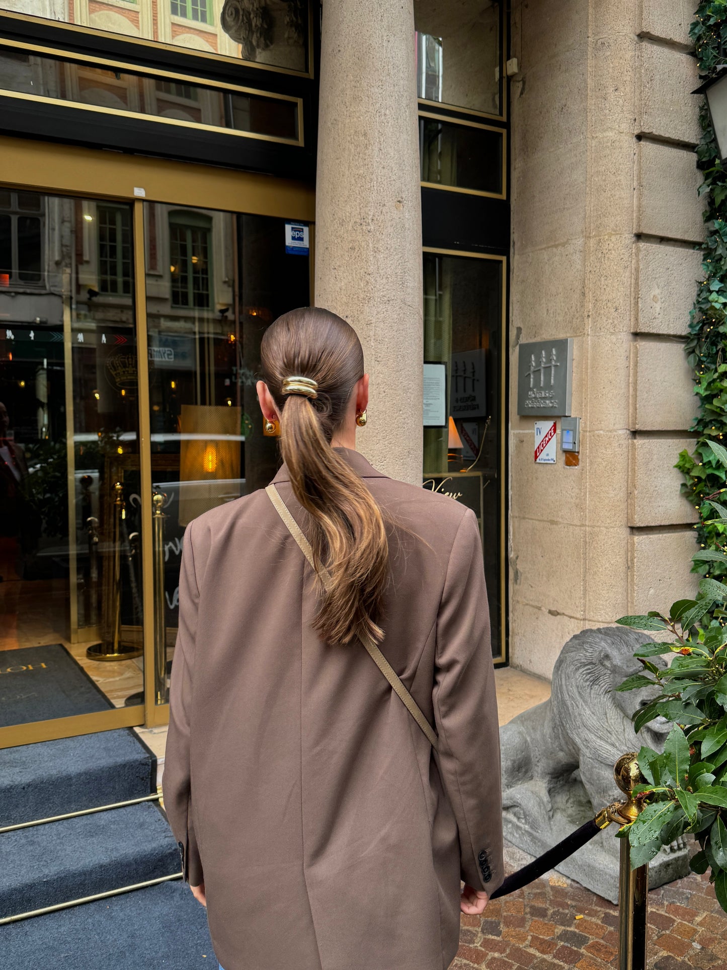 Bijou de cheveux